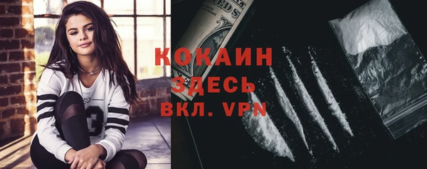 apvp Инта