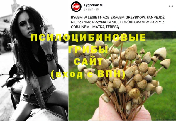 дживик Зерноград