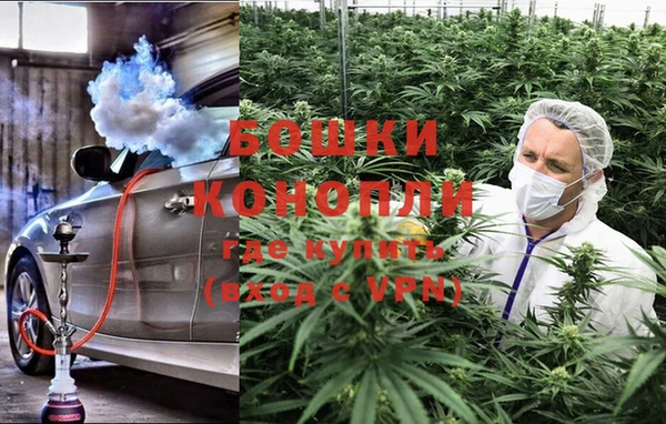 прущая мука Инсар
