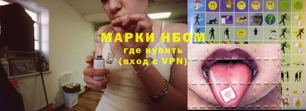apvp Инта