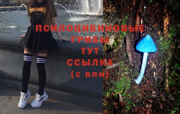 мдпв Зеленокумск