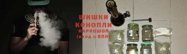 apvp Инта