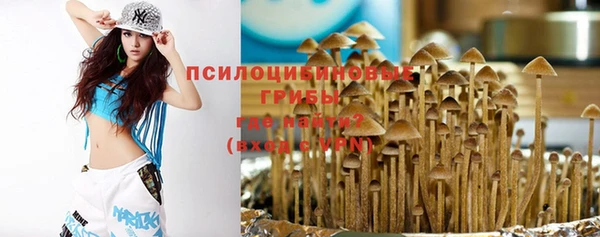 прущая мука Инсар