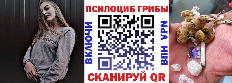 что такое наркотик  Домодедово  Псилоцибиновые грибы Cubensis 
